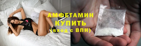 индика Нея