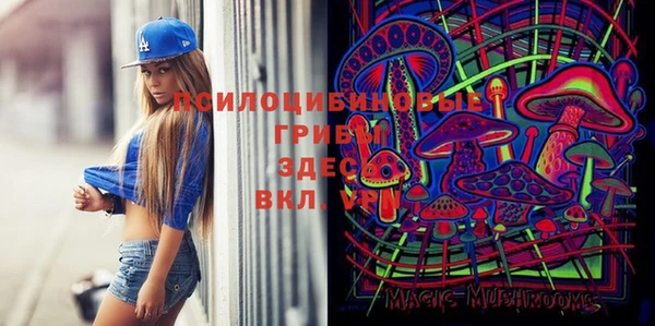 MESCALINE Новодвинск