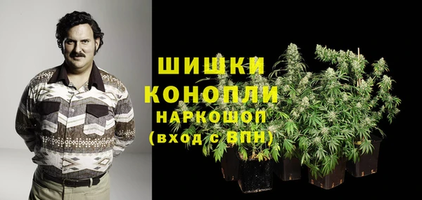 твердый Новозыбков