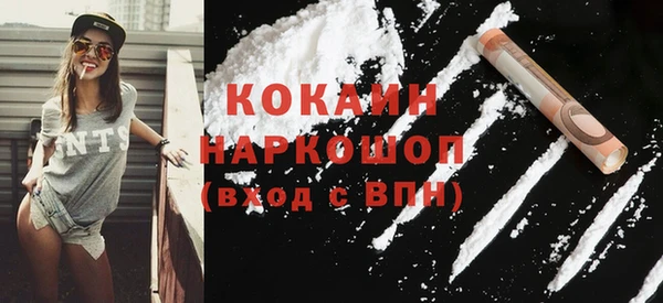 твердый Новозыбков