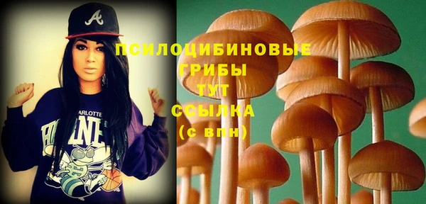 крисы Нефтегорск