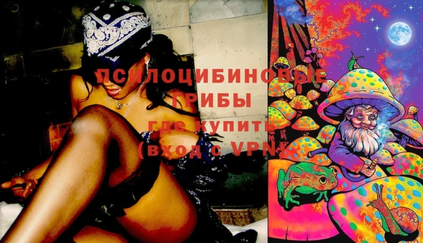 MESCALINE Новодвинск