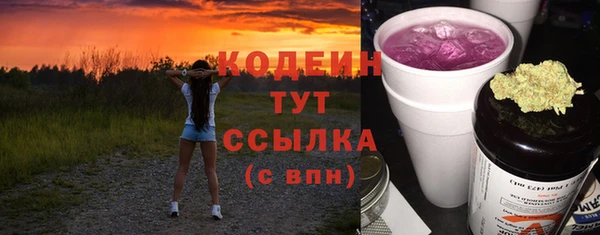 индика Нея