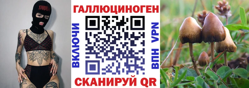 купить наркотик  сайты даркнета какой сайт  Псилоцибиновые грибы ЛСД  Моздок 