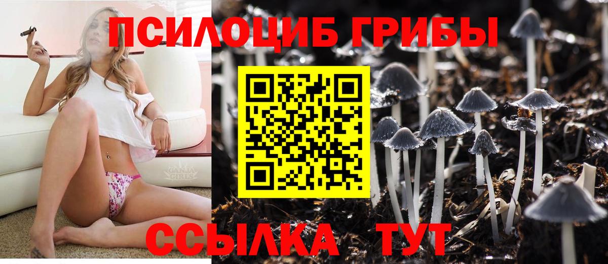 Псилоцибиновые грибы ЛСД  магазин продажи наркотиков  Моздок  Вход с VPN 
