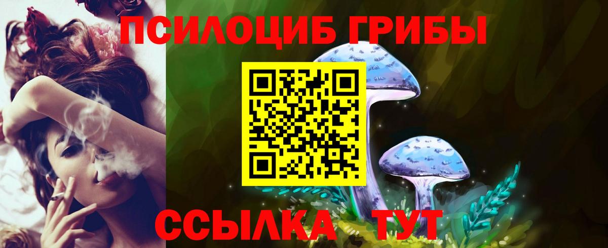 Галлюциногенные грибы мухоморы  Псилоцибиновые грибы Psilocybe  Моздок 