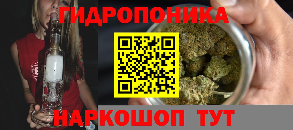 Бошки марихуана конопля Моздок